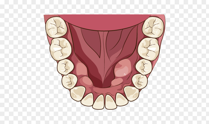 Tooth Alaleuanluu Dentist Jaw Mouth PNG