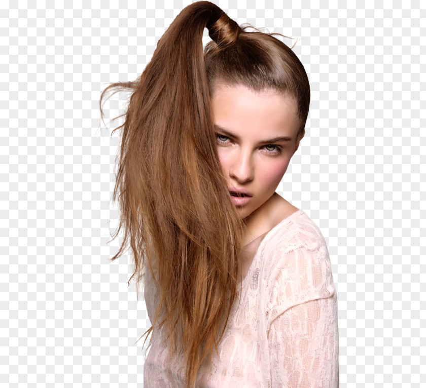 Bun Ponytail Hairstyle Updo Fashion PNG