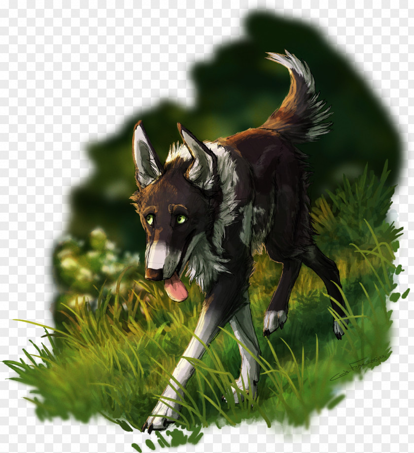 Demeritas Wolf Canis Ferox Digital Art Painting PNG