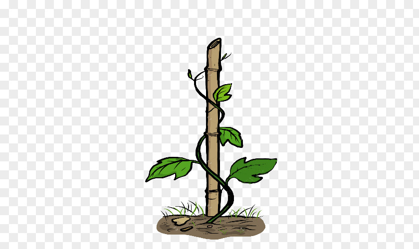 India Clip Art Vector Graphics Illustration Royalty-free Vine PNG