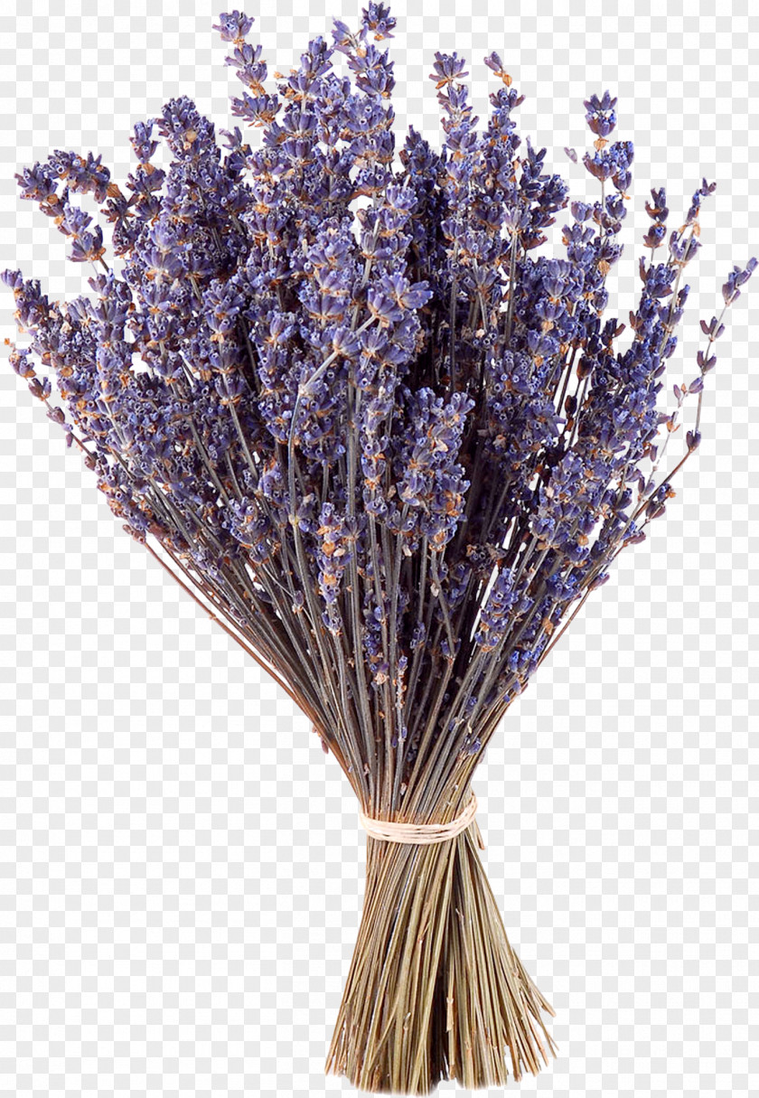 Purple Bouquet Lavender Flower Google Images PNG