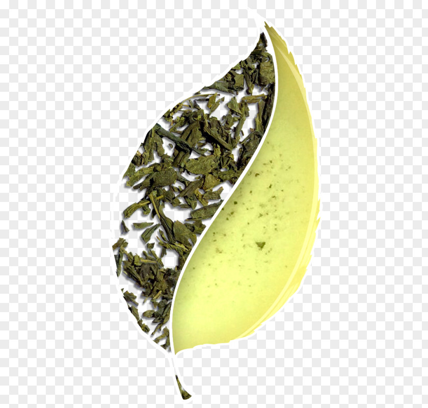 Tea Oolong Green Tieguanyin Bancha PNG