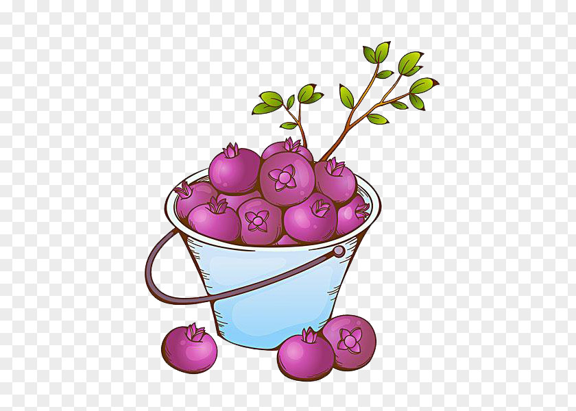 A Bucket Of Bamboo Purple Mangosteen Fruit PNG