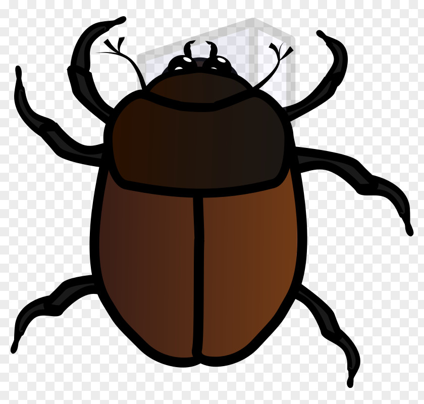 Beetle Clip Art PNG