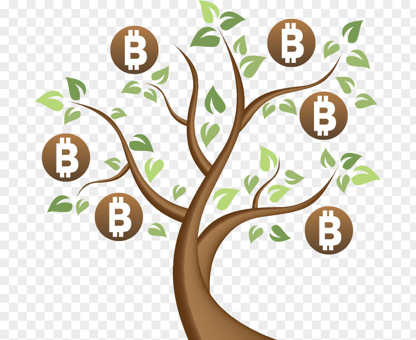 Bitcoin Cash Cryptocurrency Exchange Money PNG