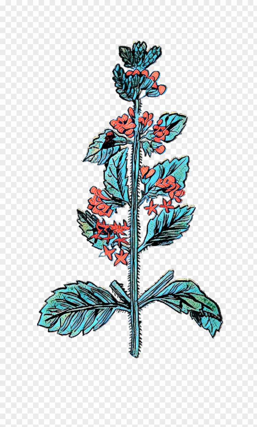 Clip Art Image Medieval Herb, Plant And Flower Illustrations PNG