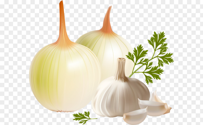 Onion Garlic Material Vegetable PNG