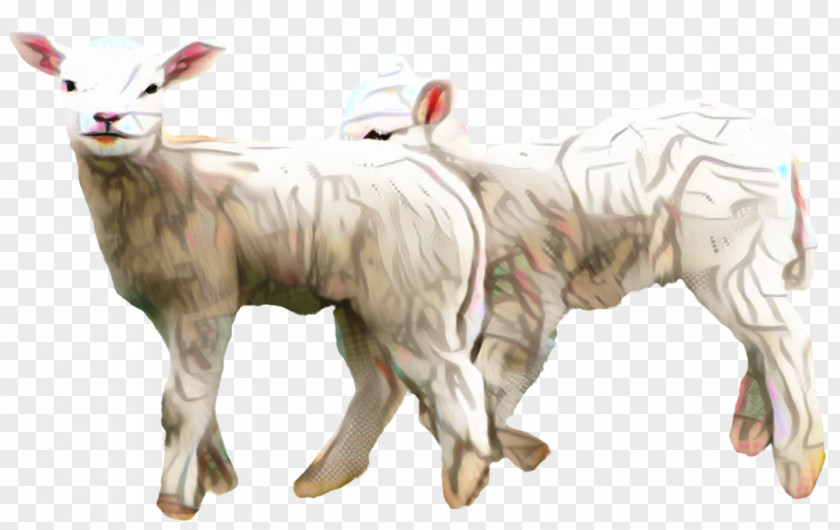 Clip Art Lamb And Mutton Merino Image PNG