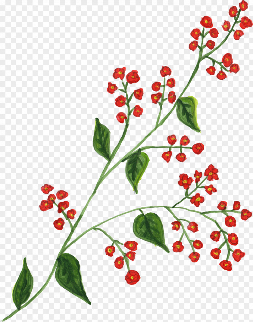 Flower Paint Microsoft Clip Art PNG