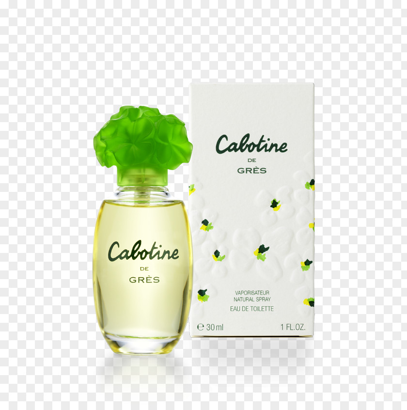 Perfume Eau De Toilette Parfum Amazon.com Parfumerie PNG