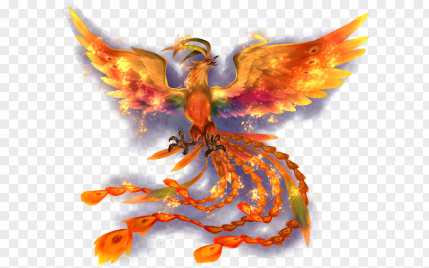 Publisher Final Fantasy Explorers XI VIII Phoenix PNG