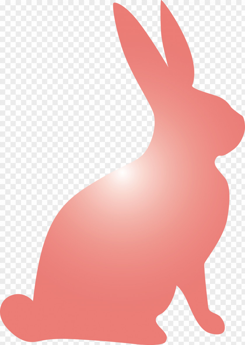 Easter Bunny Day Rabbit PNG