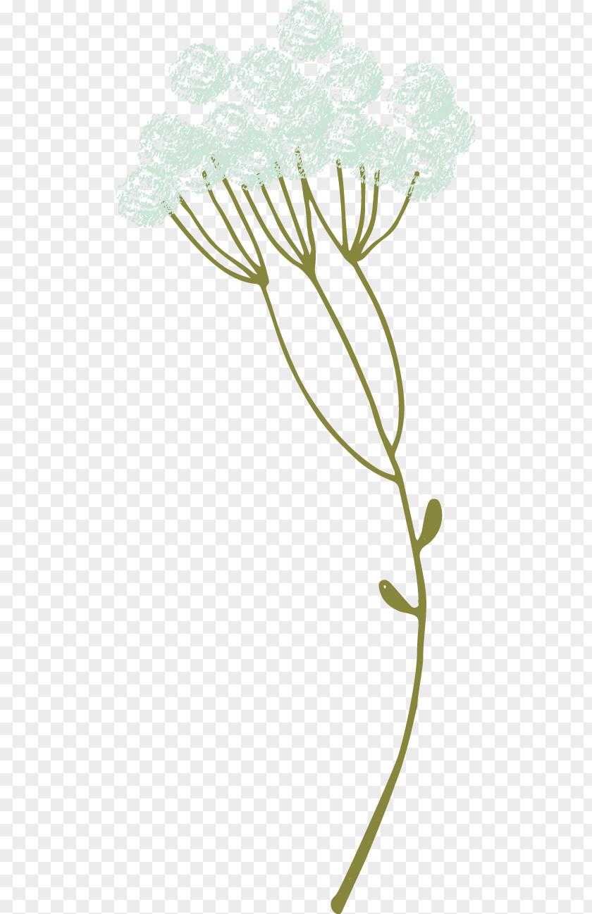 Leaf Floral Design Twig Plant Stem PNG
