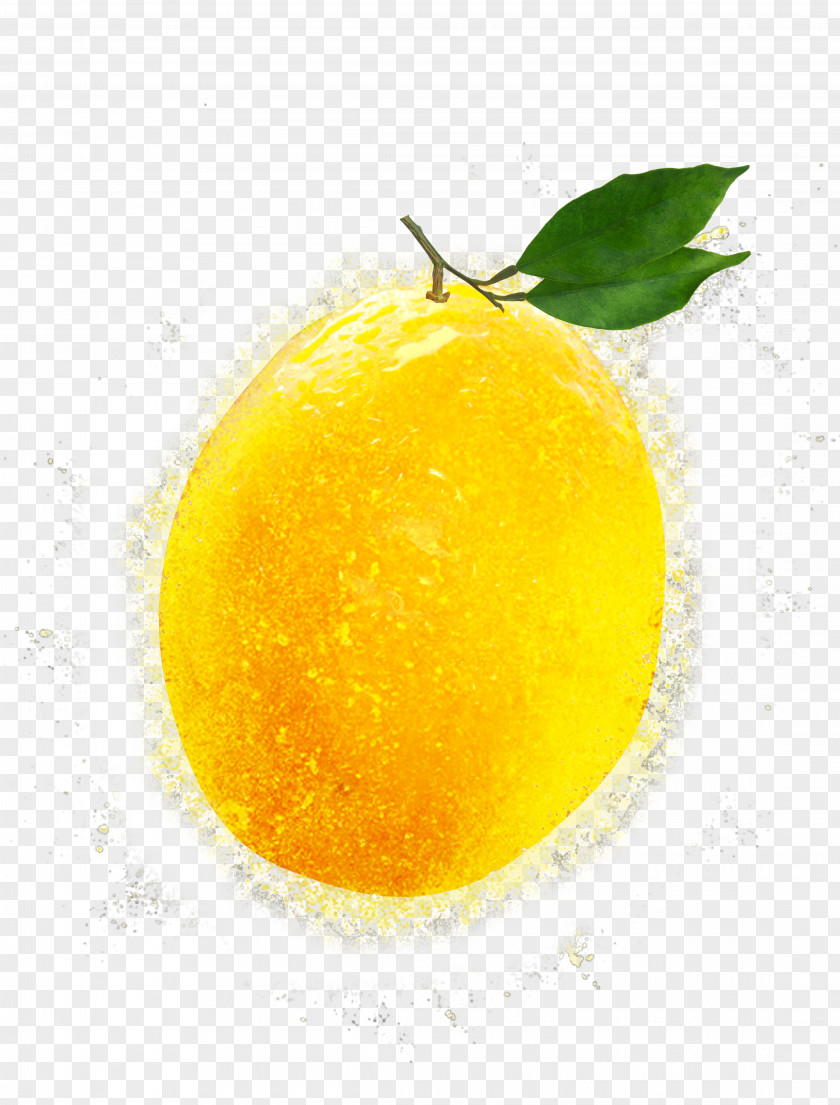 Mango Pattern Lemon Citron Clementine Mandarin Orange Citrus Junos PNG