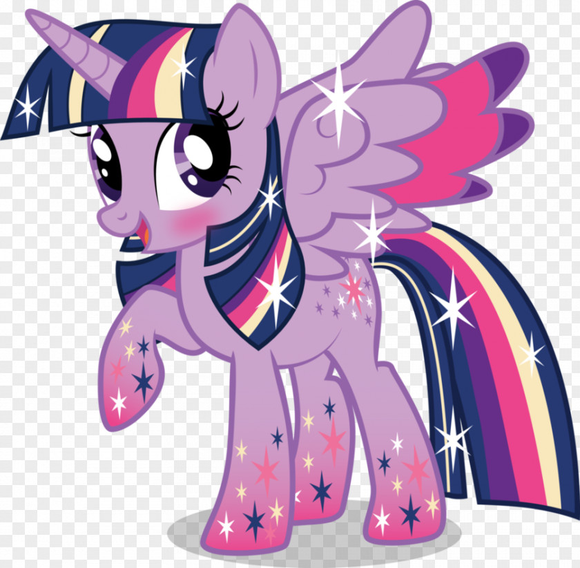 My Little Pony Twilight Sparkle Rainbow Dash Rarity Winged Unicorn PNG
