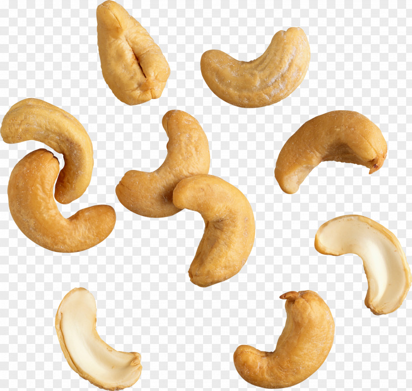Nuts Cashew Hazelnut Dried Fruit Clip Art PNG
