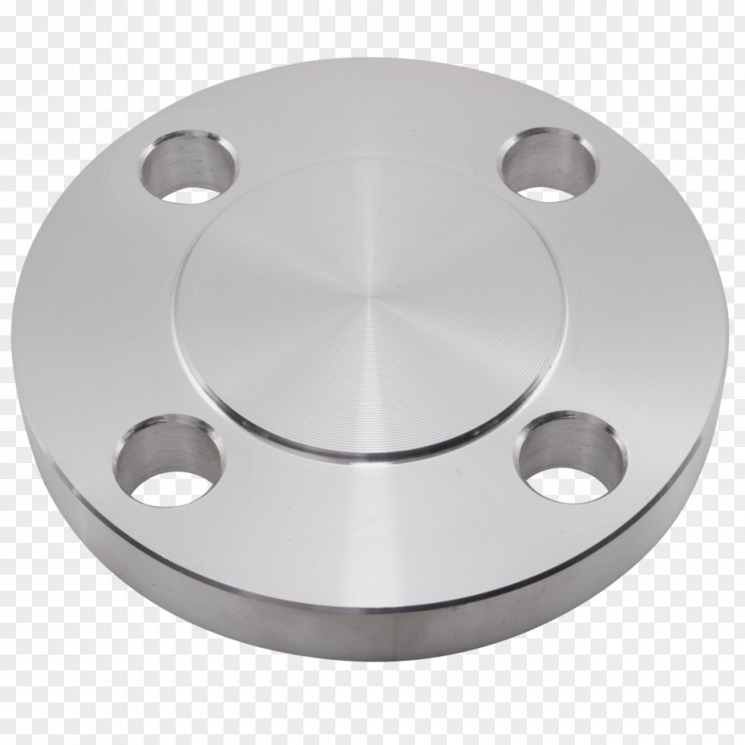 Weld Neck Flange Piping Forging Stainless Steel PNG