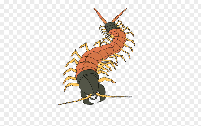 Wilderness Centipedes Giant Desert Centipede Television Insect 0 PNG