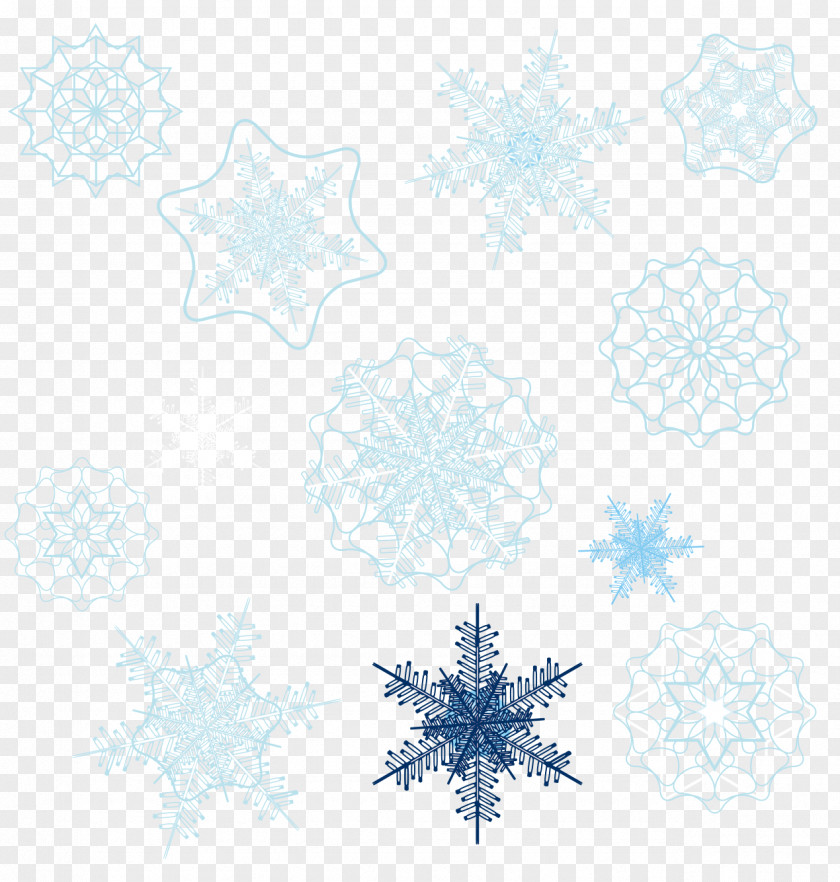 A Variety Of Snowflakes Snowflake Shape PNG