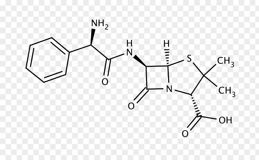 Ampicillin/sulbactam Antibiotics Phenoxymethylpenicillin PNG