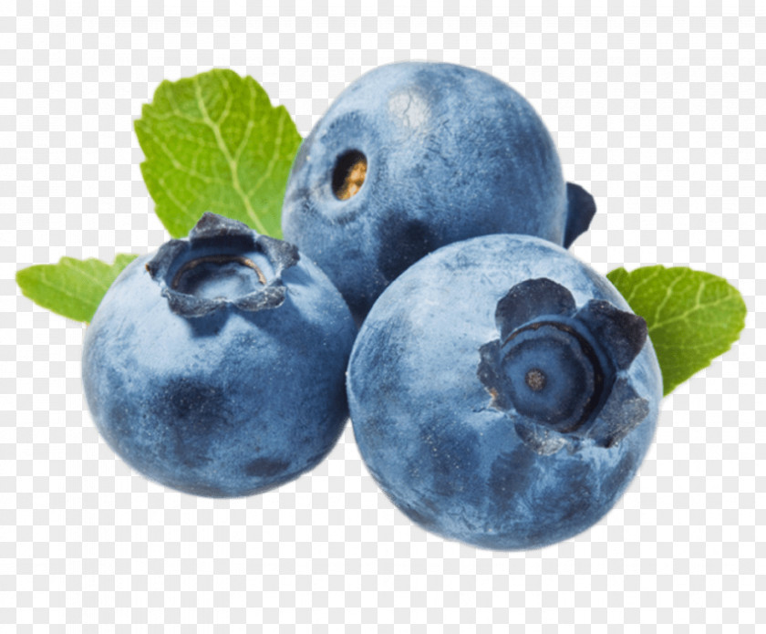 Blueberry Tea Muffin Juice Bilberry PNG