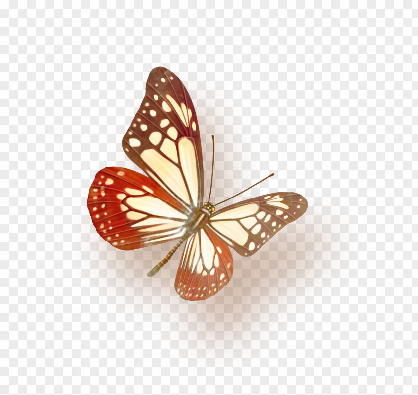 Butterfly Color Violet Computer File PNG