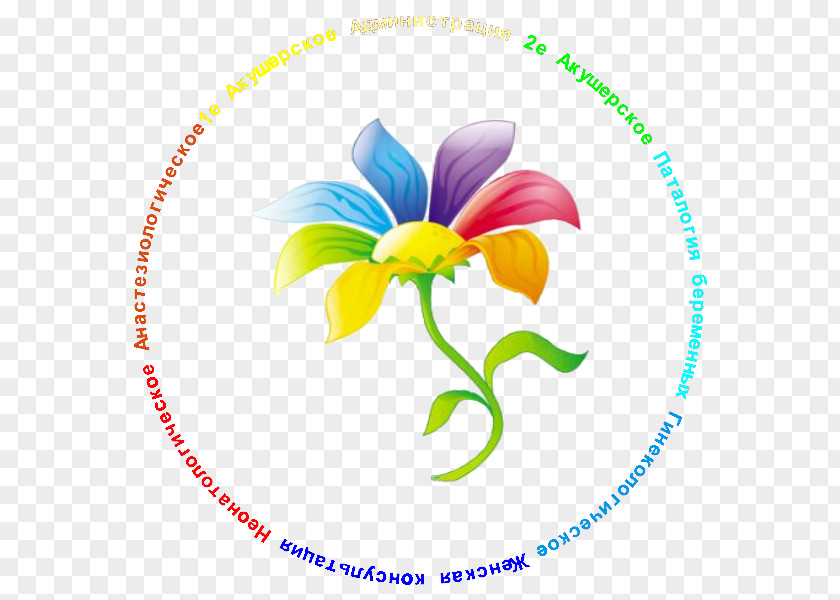 Child Tsvetik Semitsvetik Kindergarten School Floral Design PNG