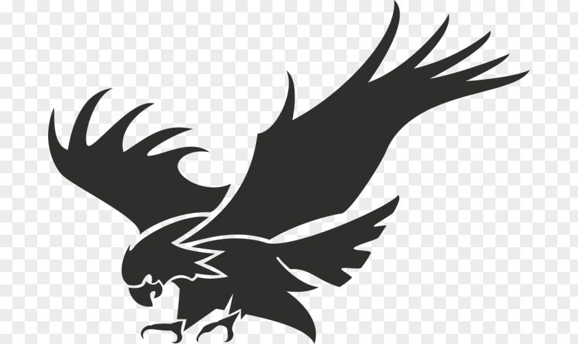 Eagle Silhouette Logo Stencil PNG