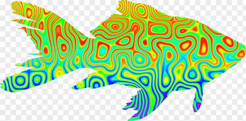 Goldfish Psychedelia Clip Art PNG