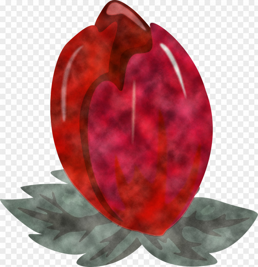 Red Leaf Ruby Gemstone Plant PNG