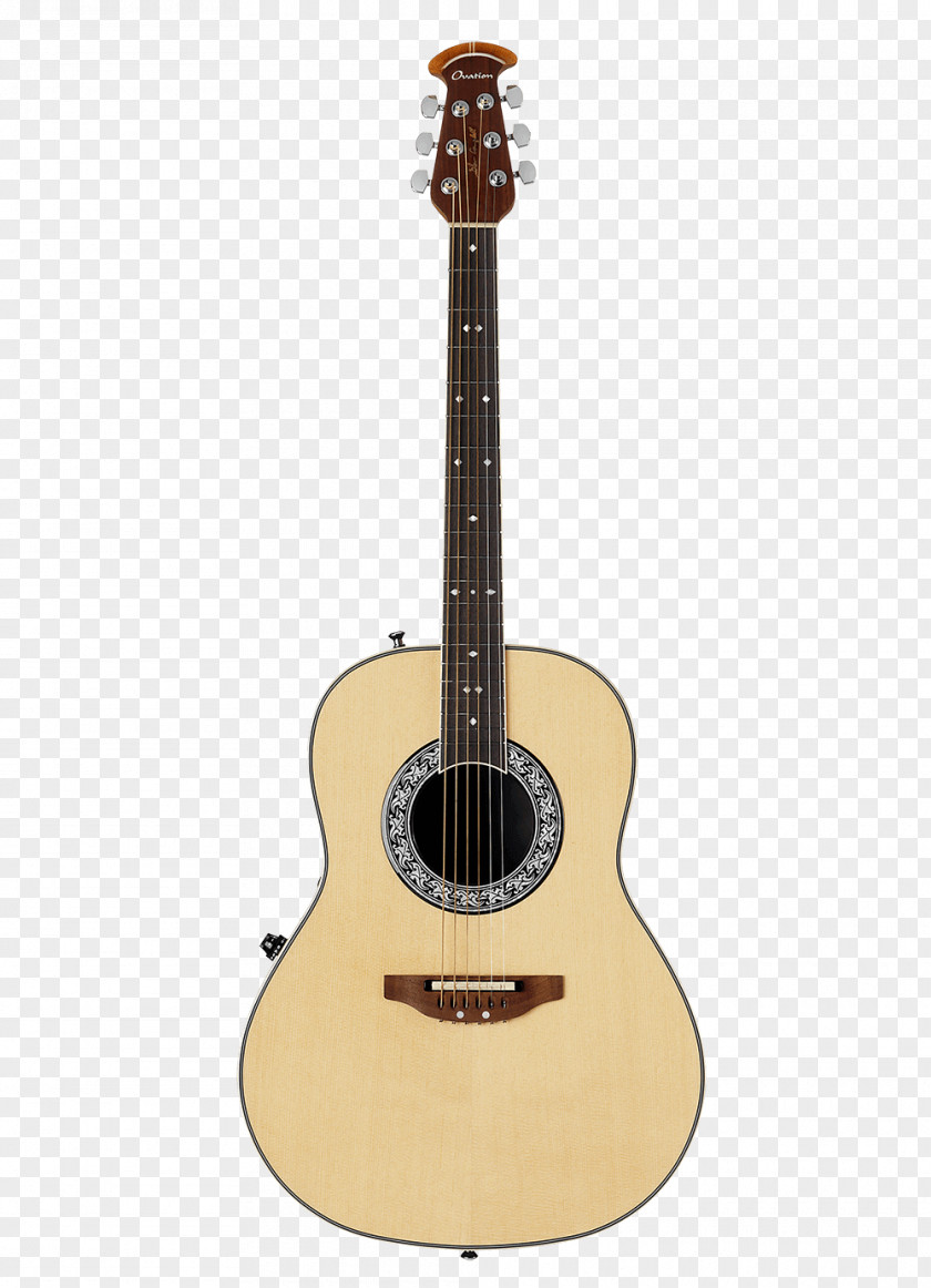 Electric Guitar Twelve-string Steel-string Acoustic Acoustic-electric Dreadnought PNG