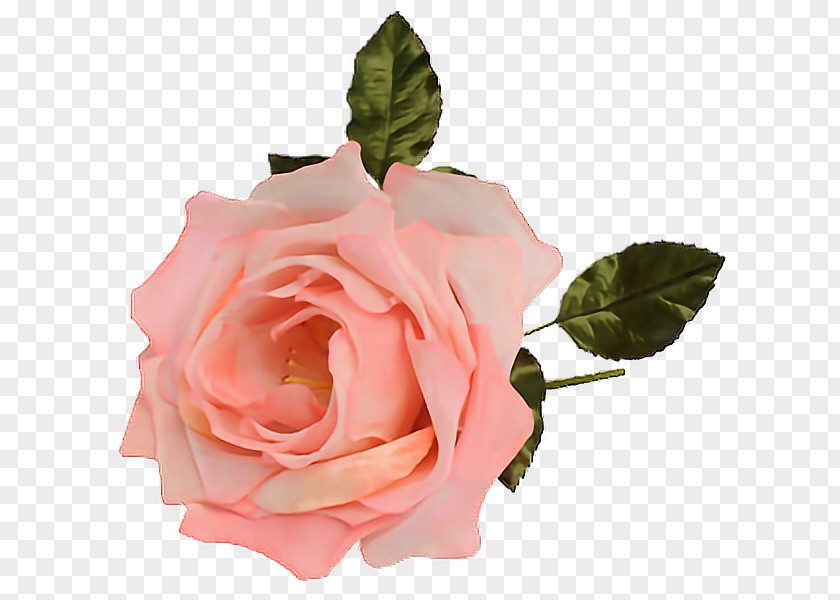 Flower Garden Roses Wreath Boutonnière PNG