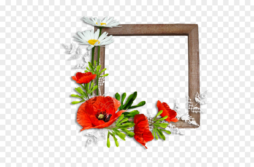 Flower Picture Frames Common Poppy Floral Design PNG