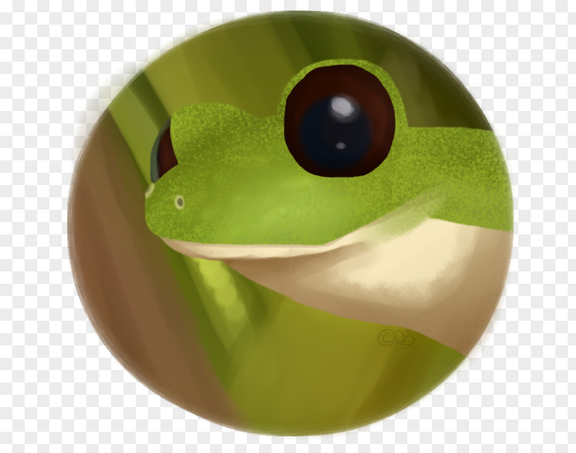 Frog Tree PNG