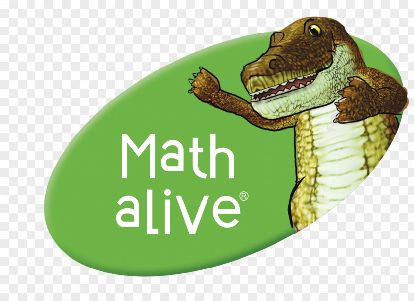 Mathematics Early Childhood Education Learning Math Alive! PNG