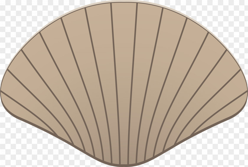 Scallop In Shell Seashell Drawing Clip Art PNG