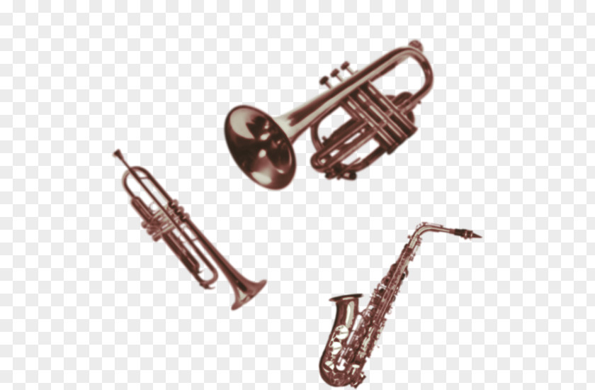 Trumpet Cornet Saxhorn Mellophone Brass Instruments PNG