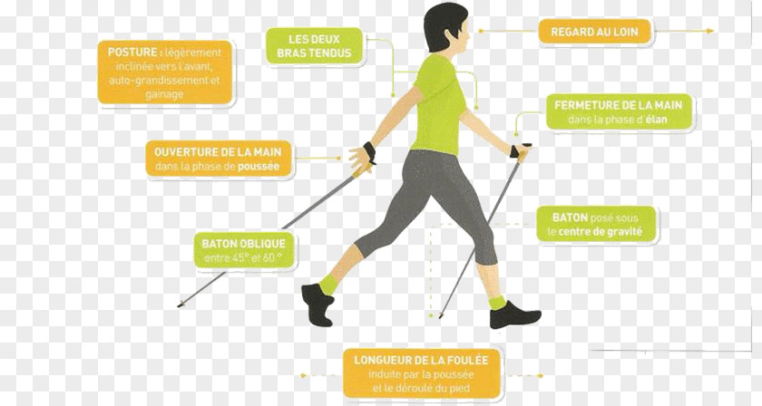 Nordic Walking Sports Sport De Plein Air Hiking PNG