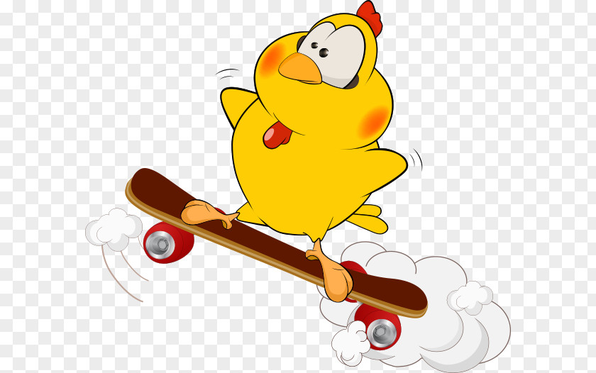 Vector Chick Skateboard Bird Nest Owl Flight PNG