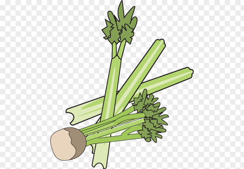 Celery Greens Grasses Clip Art Flower Plant Stem PNG
