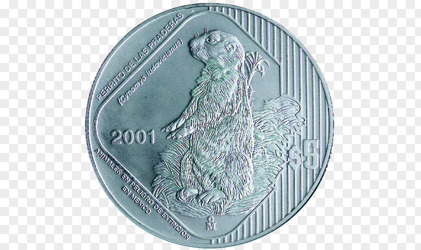 Coin Silver Harpy Eagle Endangered Species PNG
