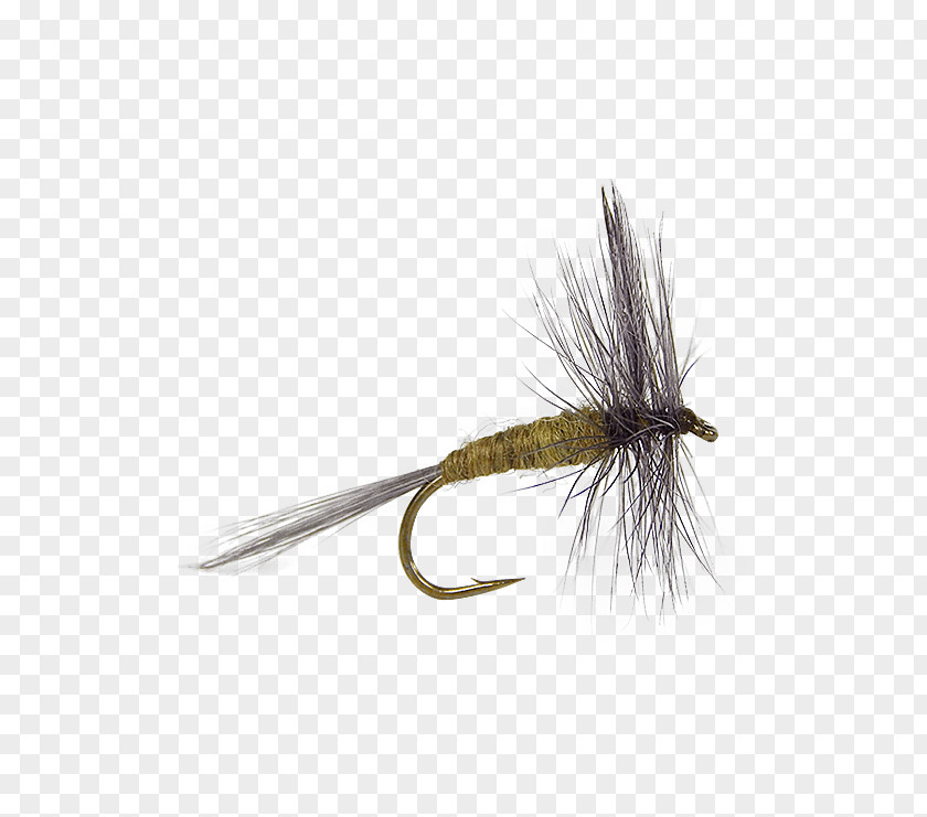 Dry Flies Artificial Fly Fishing Tying PNG