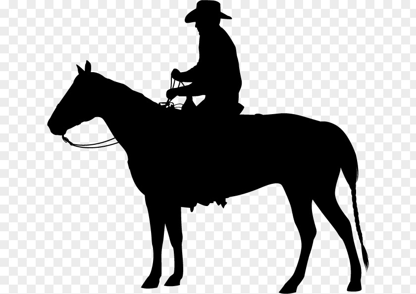 Horse Equestrian Western Pleasure Clip Art PNG