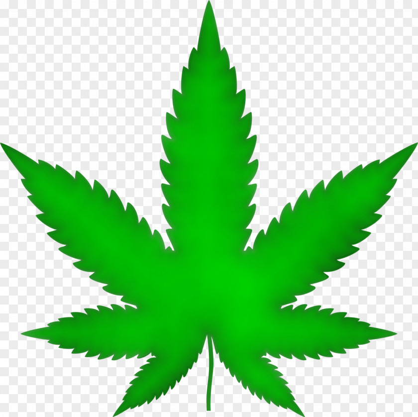 Perennial Plant Aloe Cannabis Leaf Background PNG