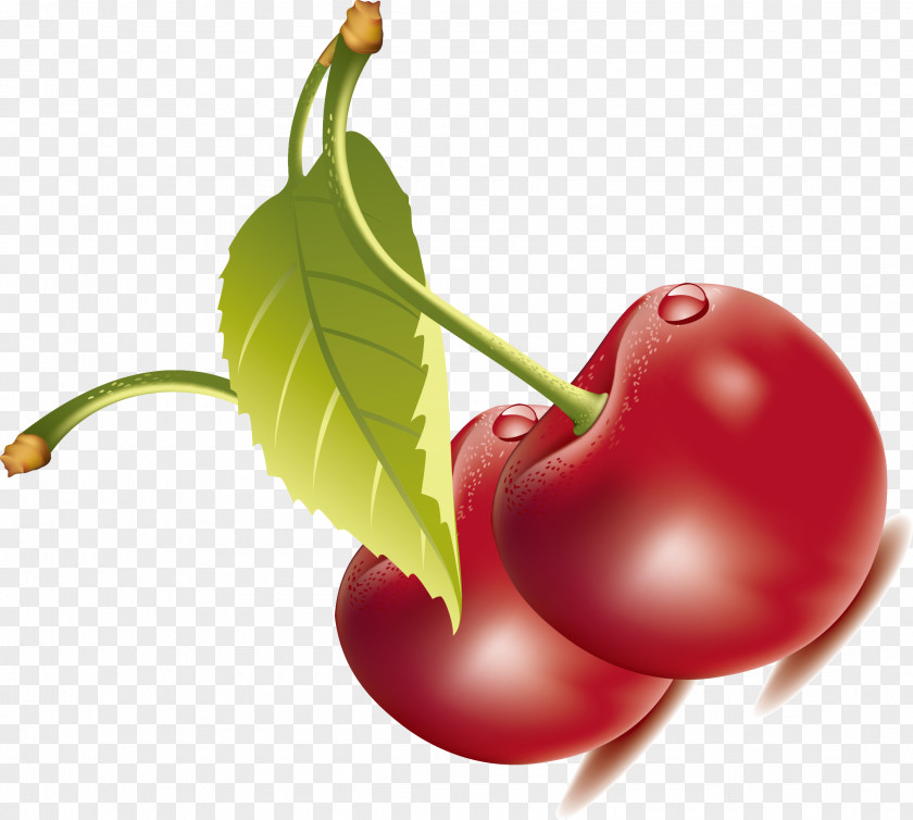 Red Cherry Healthy Fruit Vector Berry Food PNG