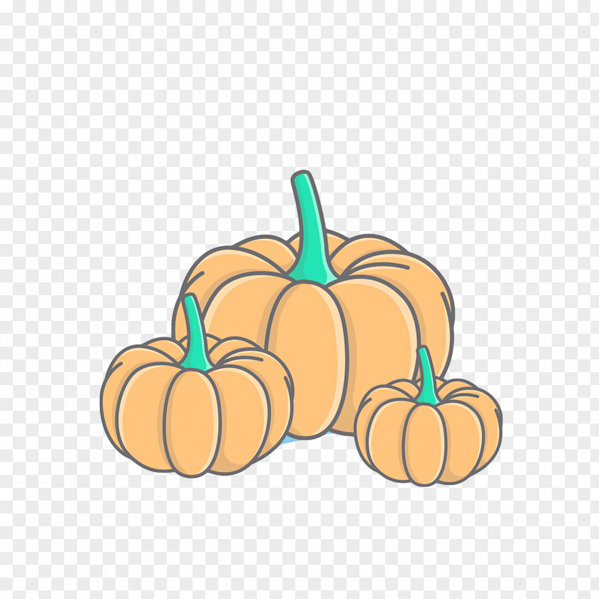 Squash Winter Gourd Cartoon Fruit PNG