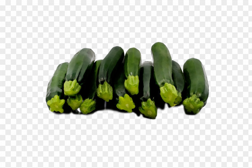 Vegetable Citroën Cactus M PNG