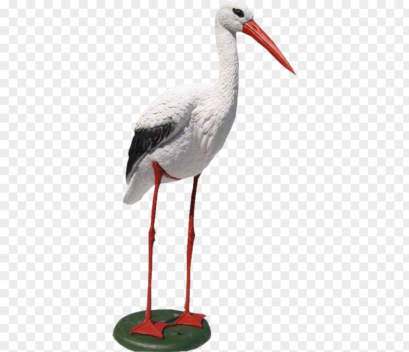 Bird White Stork Plastic Wader Beak PNG