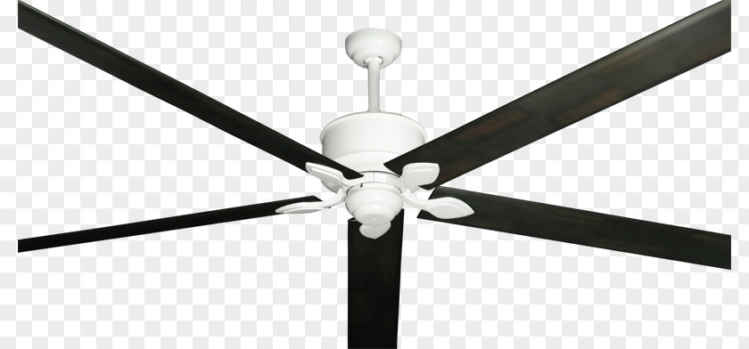 Line Ceiling Fans Angle PNG
