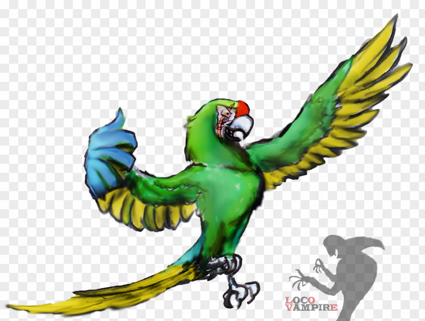 Macaw Parrot Military Bird Parakeet PNG
